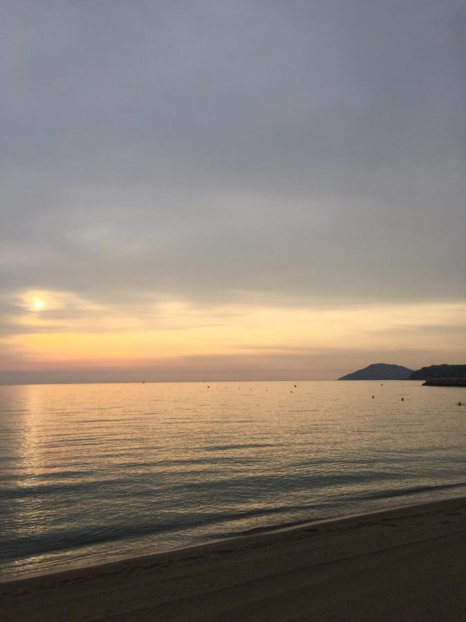 Les Pieds Dans Le Sable Daire Argelès-sur-Mer Dış mekan fotoğraf